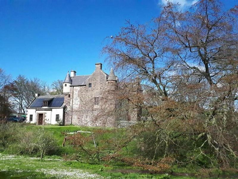 Hallgreen Castle image