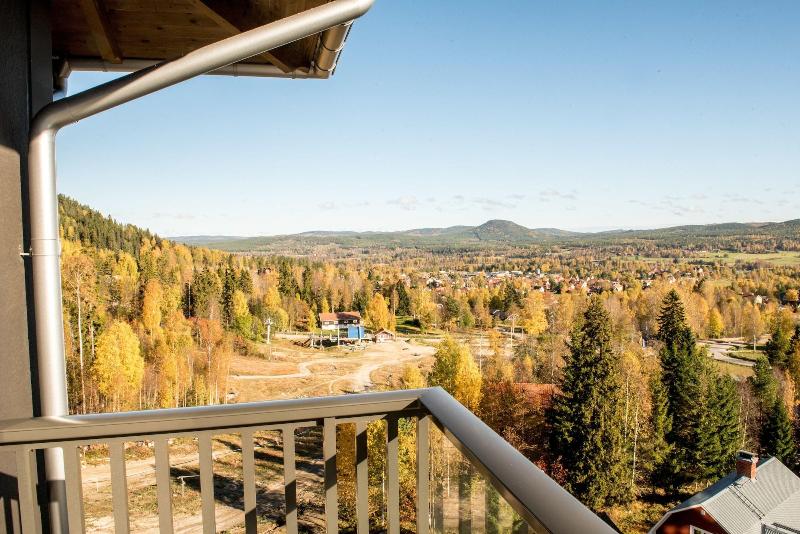 Bergshotellet image