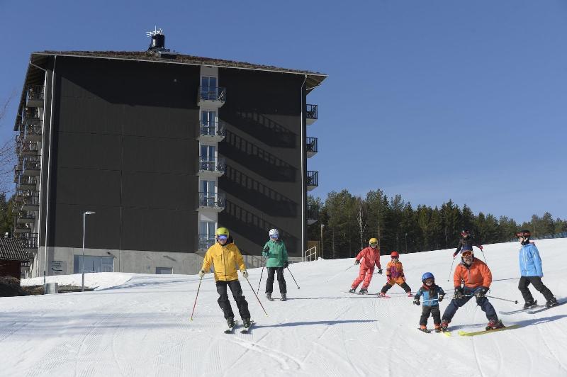 Bergshotellet image