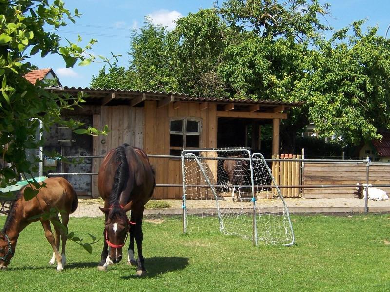 Landhotel Zum Adler image