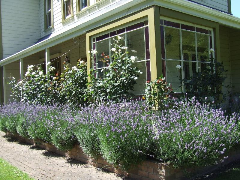 Tairoa Lodge & Cottage image