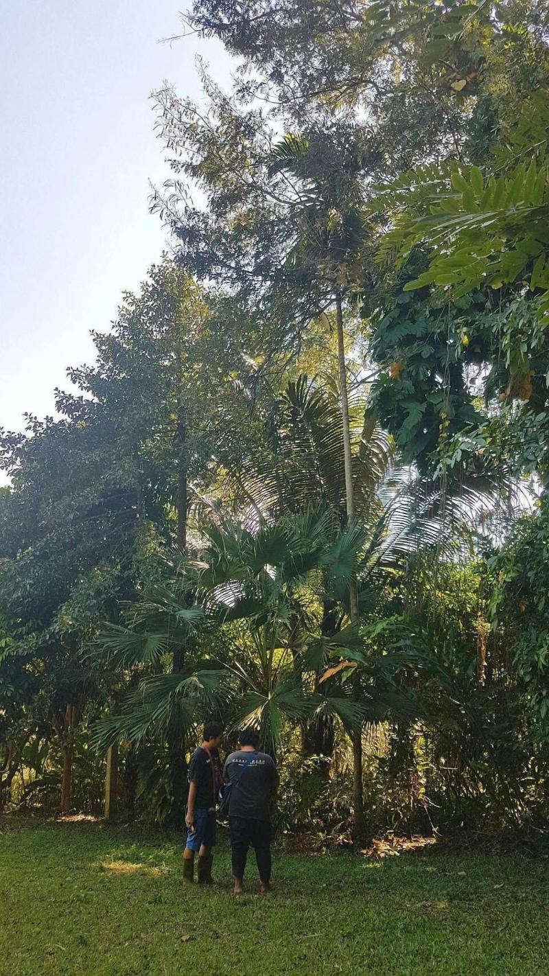 Aum Hum Homestay
