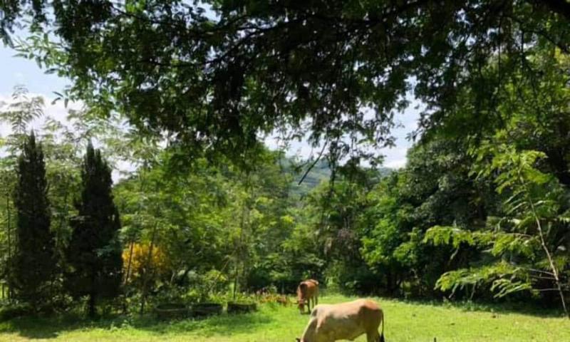 Aum Hum Homestay 4