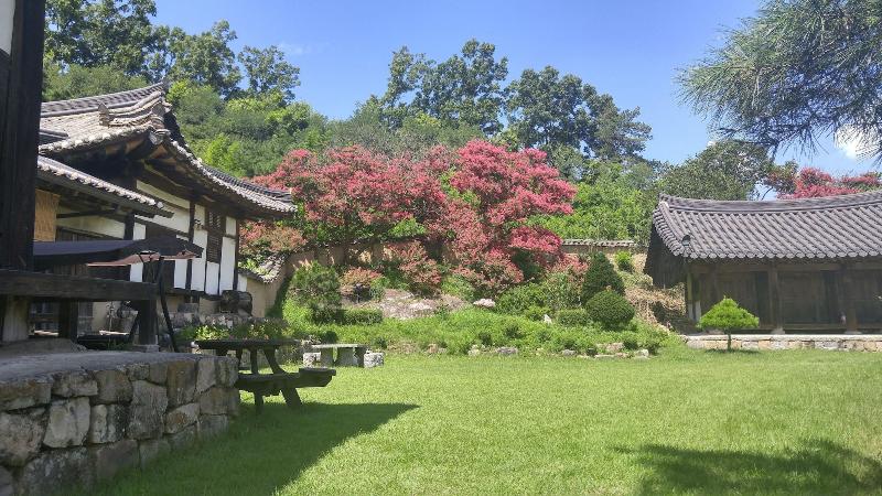 Yang So Dang image