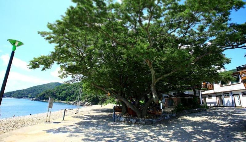 Pinky Marine Pension — main photo