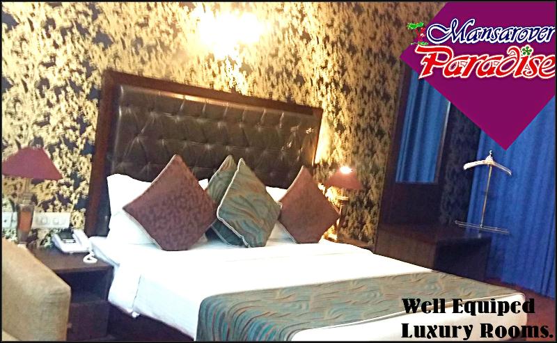 Hotel Mansarover Paradise image