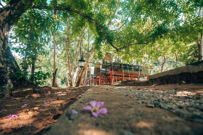 360 Rainforest