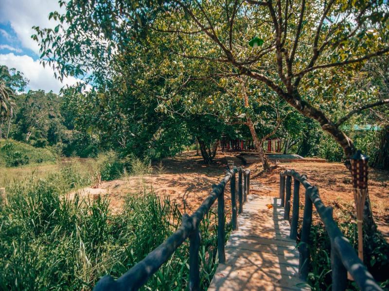 360 Rainforest — photo 51
