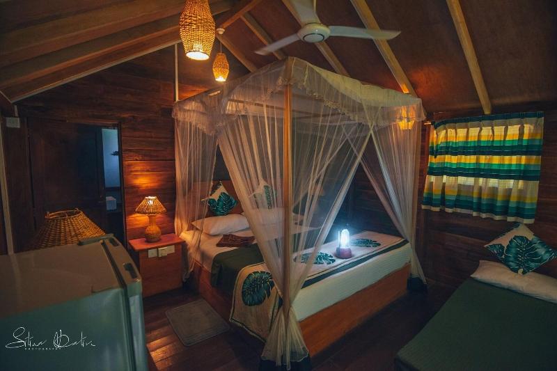 360 Rainforest — photo 9