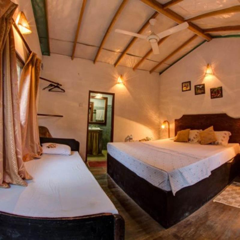 360 Rainforest — photo 70