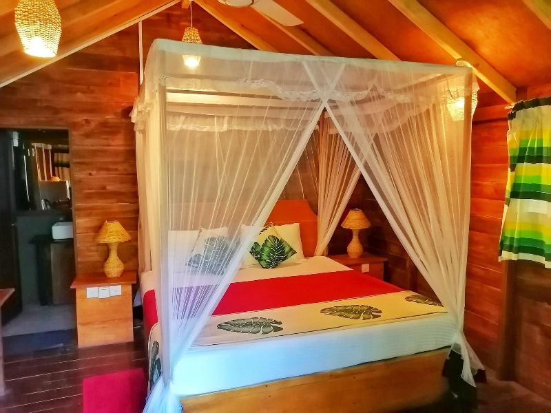 360 Rainforest — photo 69