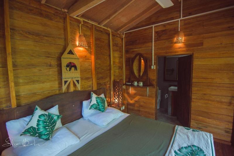 360 Rainforest — photo 65