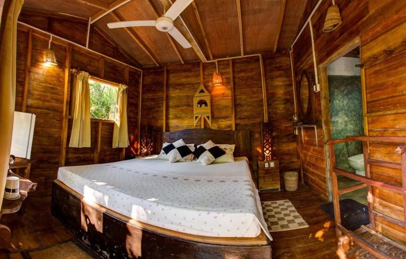 360 Rainforest — photo 64