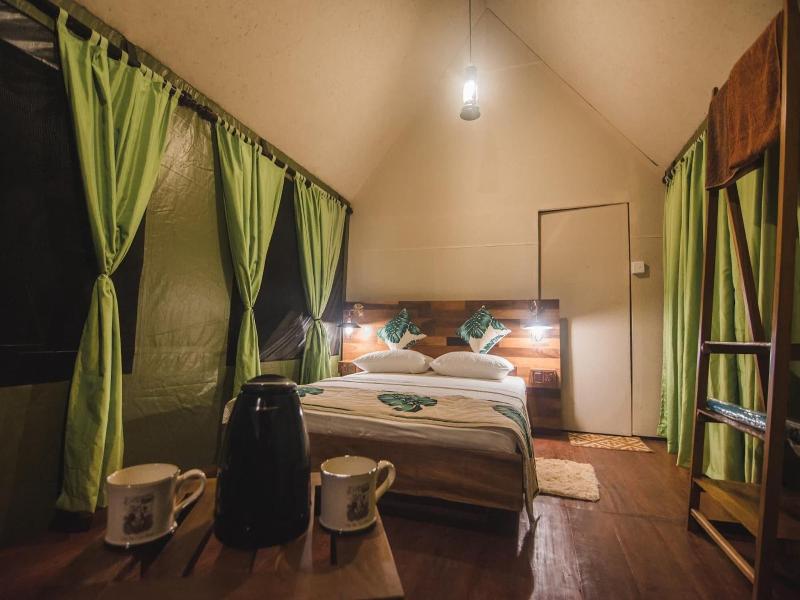 360 Rainforest — photo 13