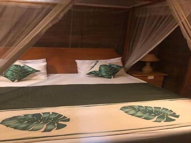 360 Rainforest — photo 10