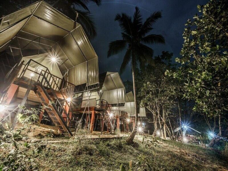 360 Rainforest — photo 25