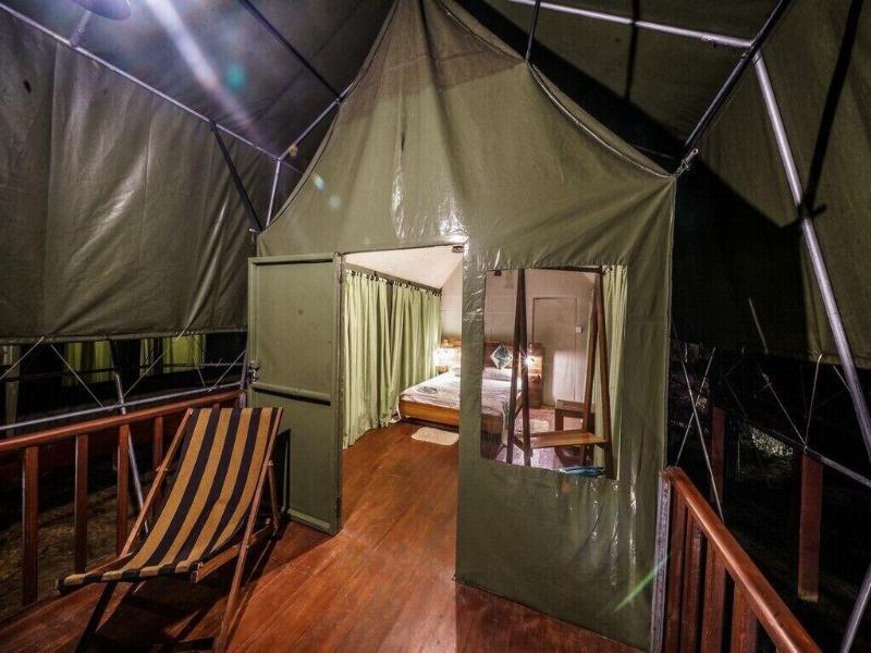 360 Rainforest — photo 39