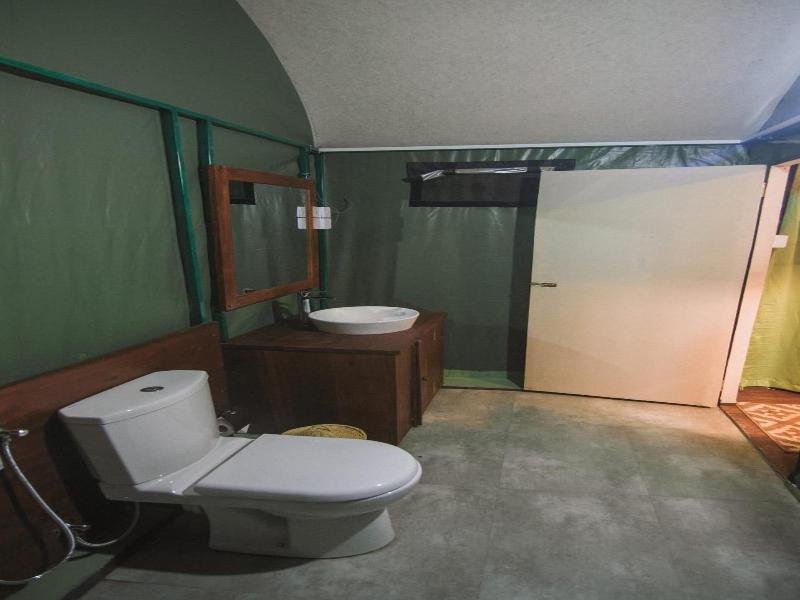 360 Rainforest — photo 38