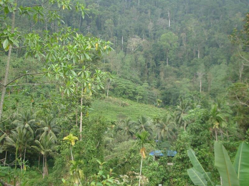 Vini Villa image