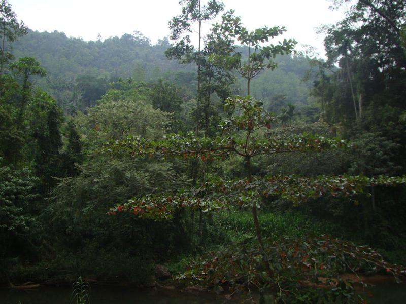 Vini Villa image