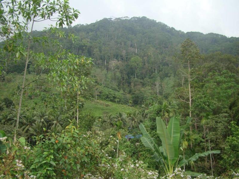 Vini Villa image