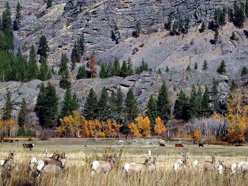 Rocky Point Ranch