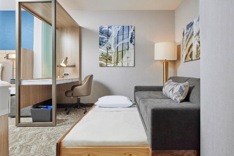 Springhill Suites Chicago - Chinatown image