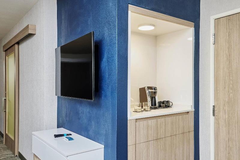 Springhill Suites Chicago - Chinatown image