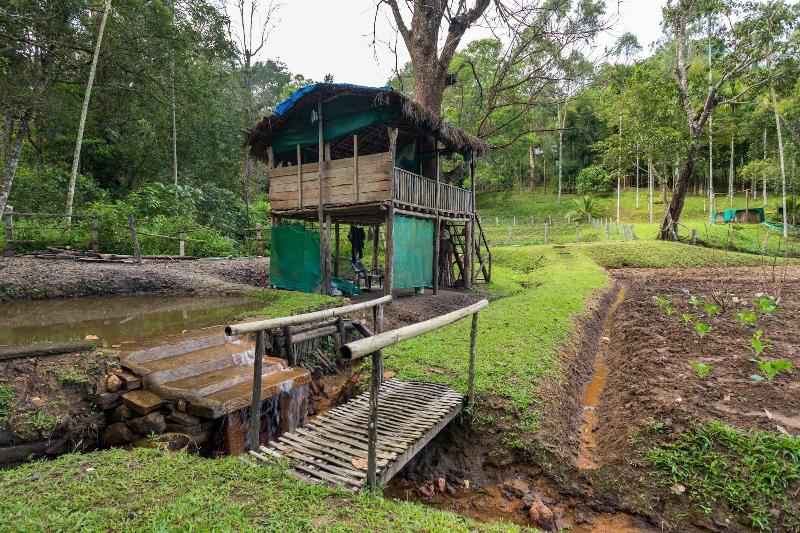 The Woods Resorts Wayanad