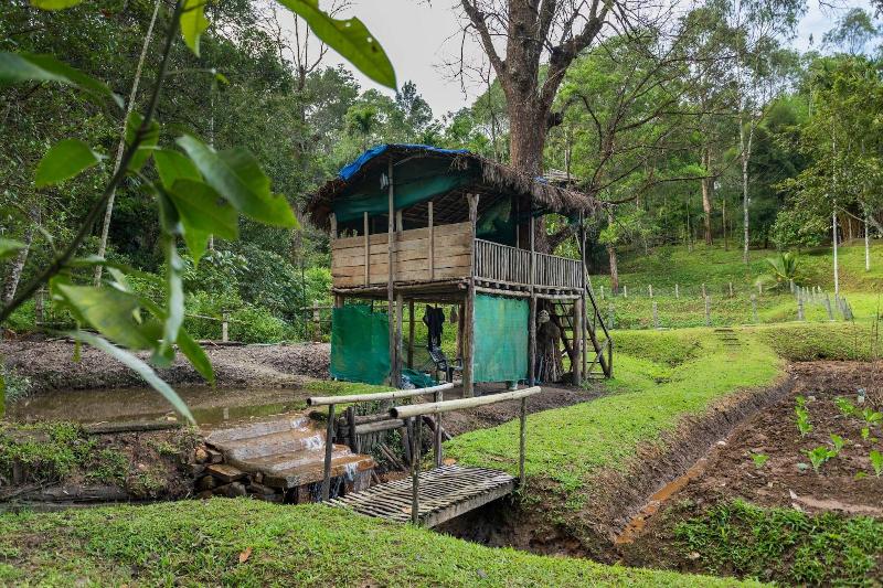 The Woods Resorts Wayanad