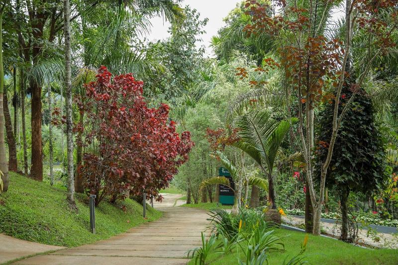 The Woods Resorts Wayanad
