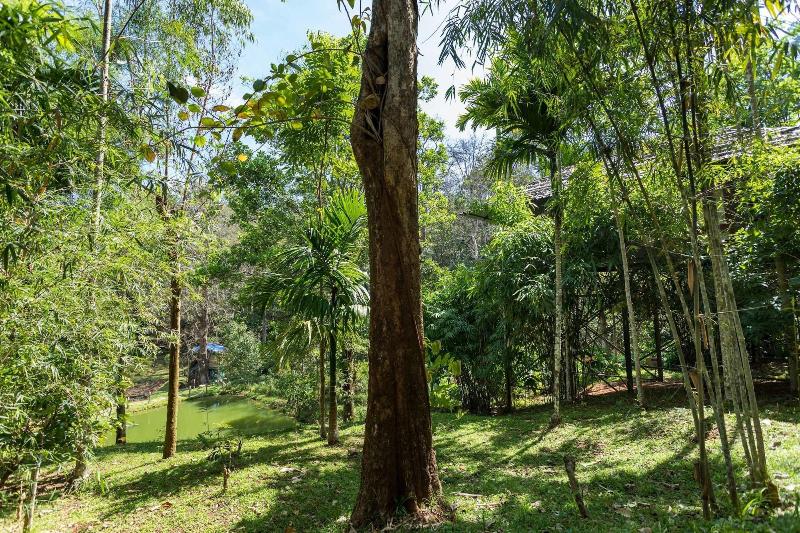 The Woods Resorts Wayanad