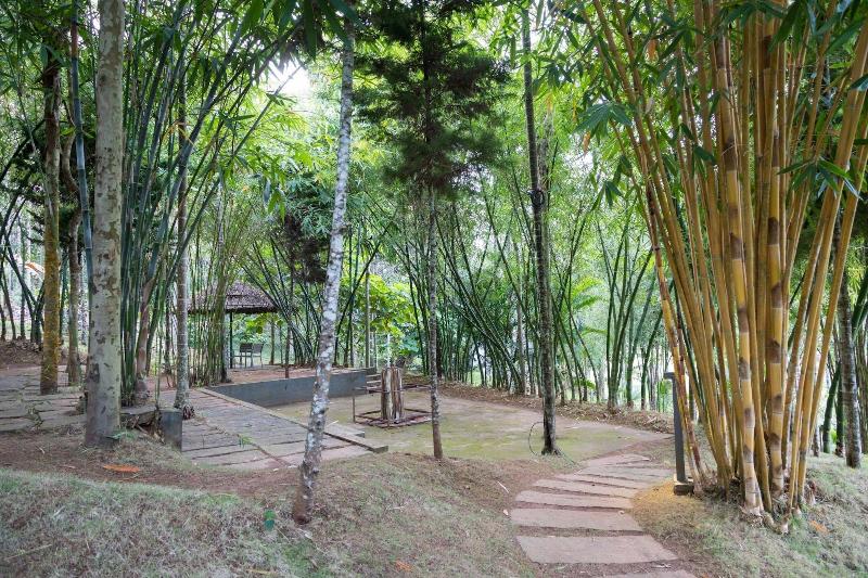 The Woods Resorts Wayanad