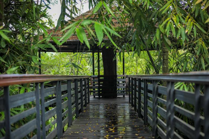 The Woods Resorts Wayanad