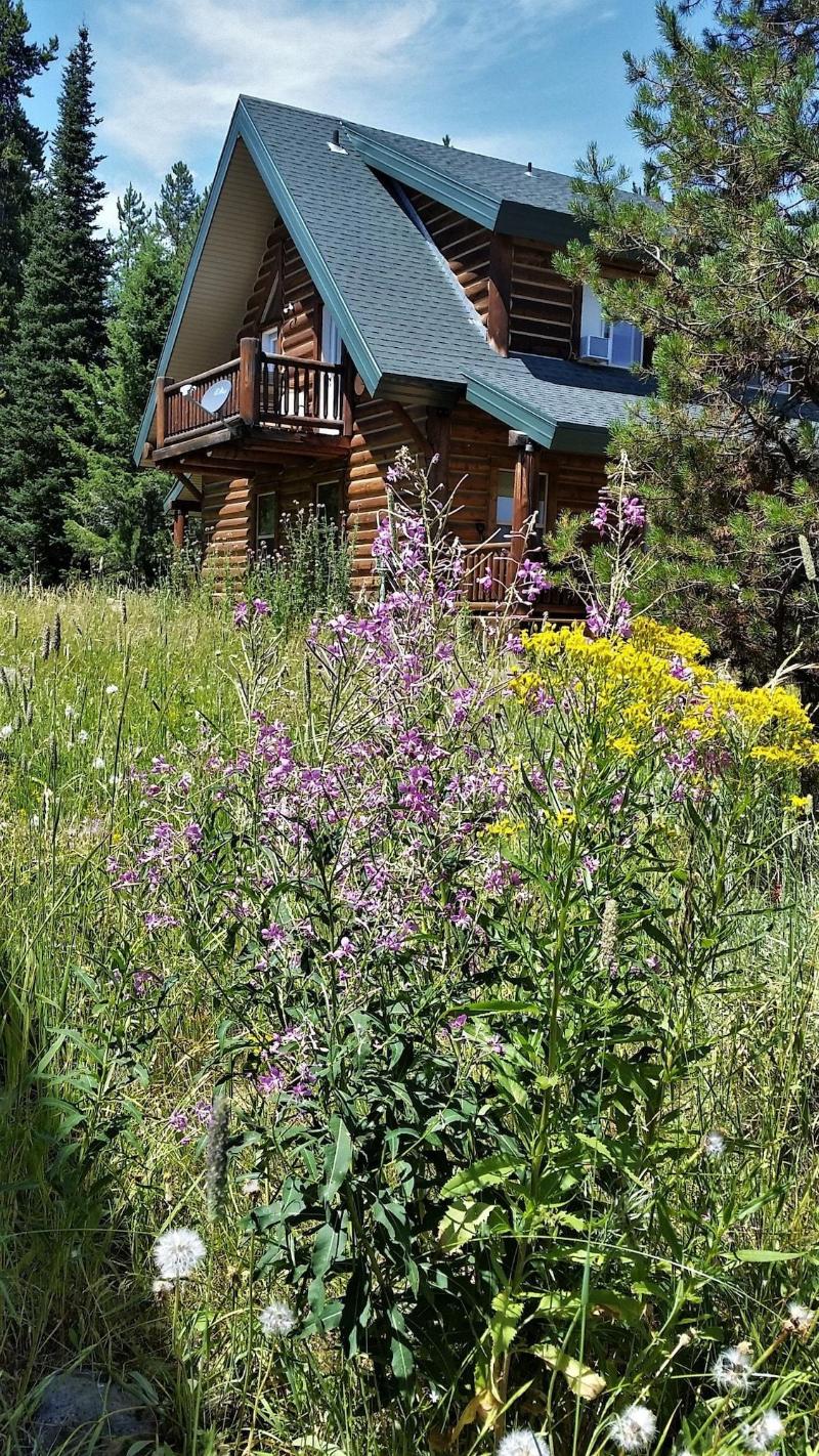Kilgore Mountain Hideaway B&B image