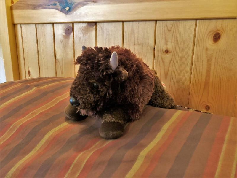 Kilgore Mountain Hideaway B&B image