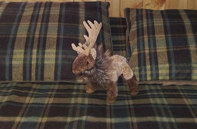Kilgore Mountain Hideaway B&B image