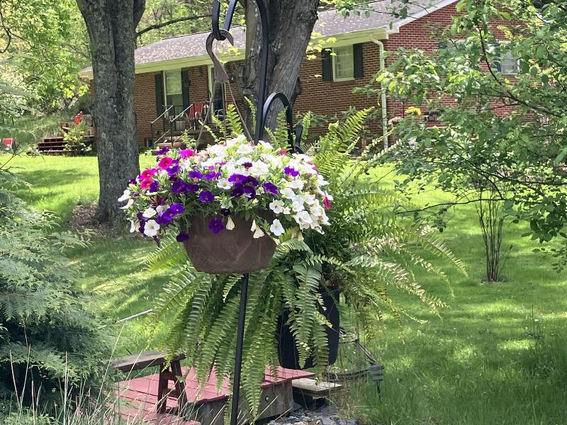 The Ashe Farm Bed & Breakfast