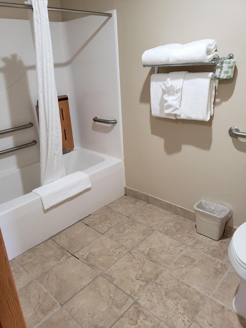 Cobblestone Inn and Suites - Lake View image