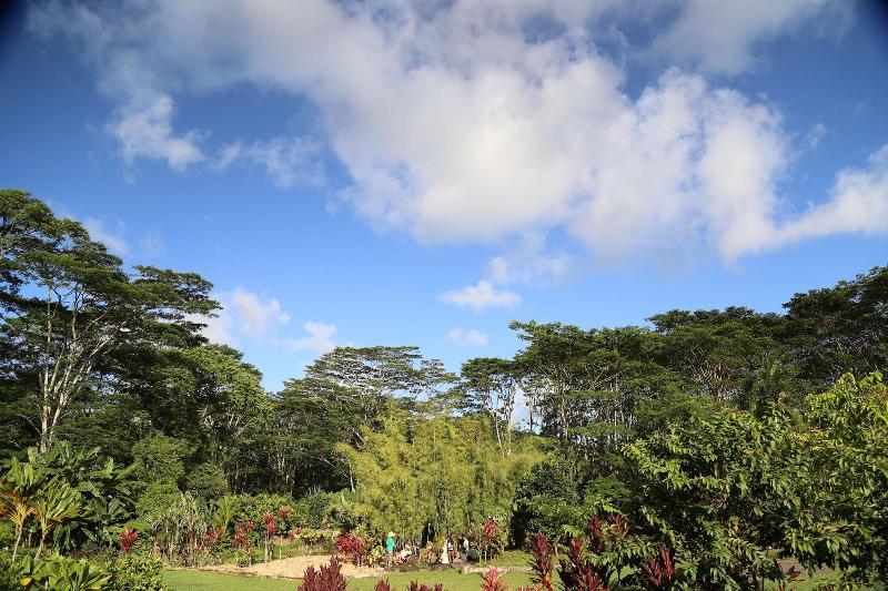 Hawaiian Sanctuary image