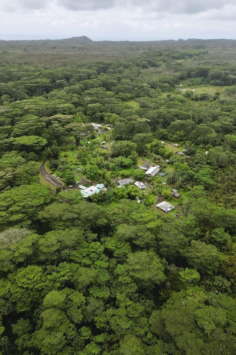 Hawaiian Sanctuary image