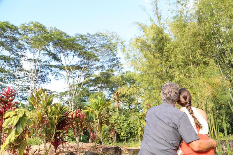 Hawaiian Sanctuary image