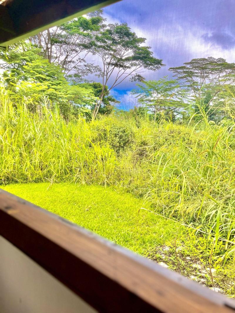 Hawaiian Sanctuary image