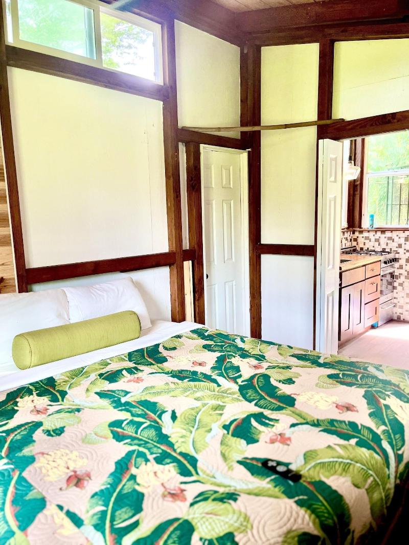 Hawaiian Sanctuary image