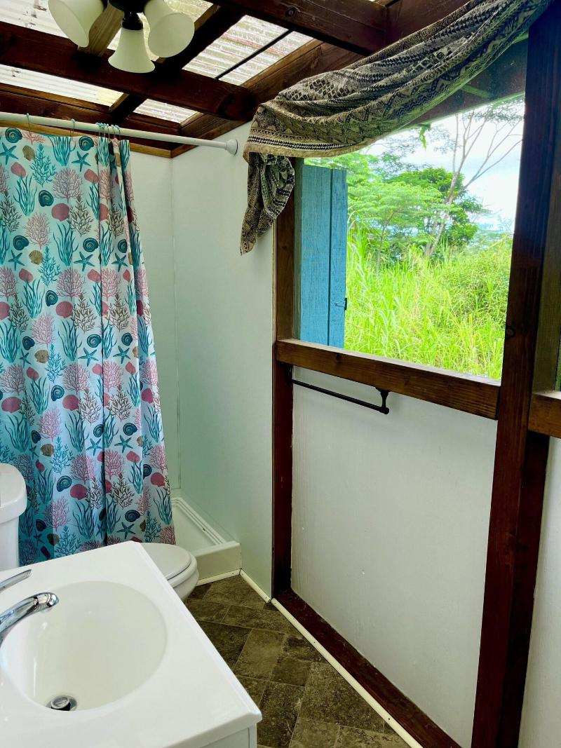 Hawaiian Sanctuary image