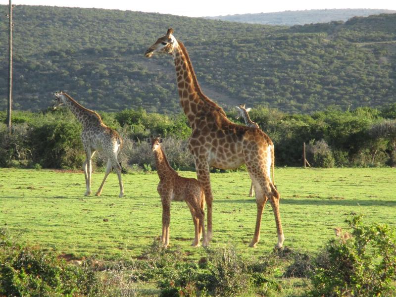 Valley Bushveld Country Lodge