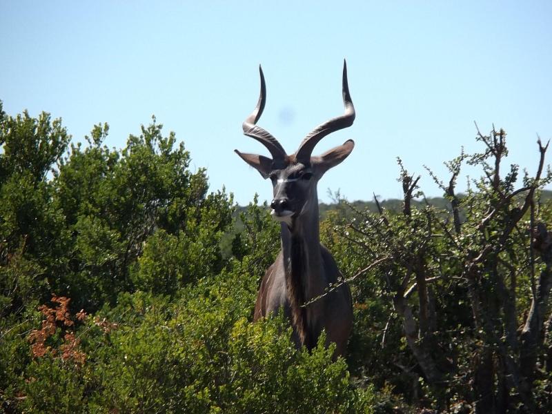 Valley Bushveld Country Lodge