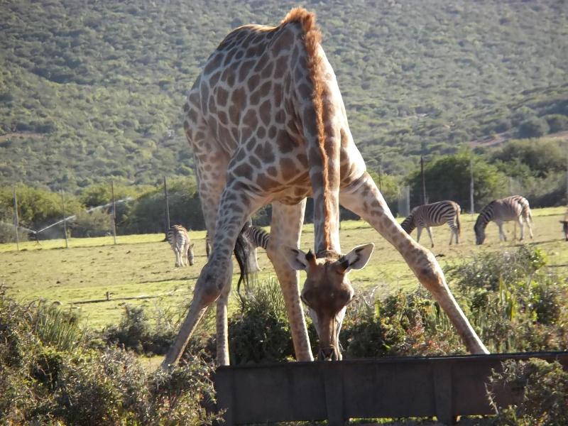 Valley Bushveld Country Lodge