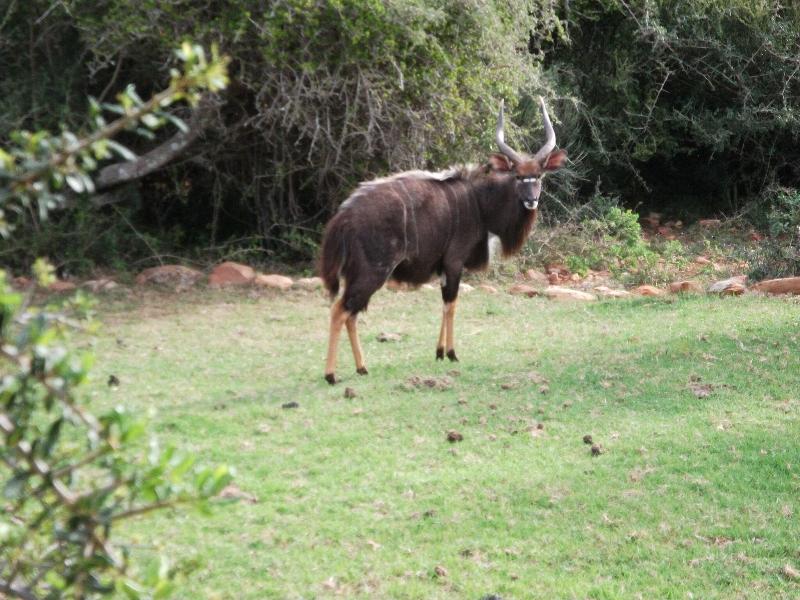 Valley Bushveld Country Lodge