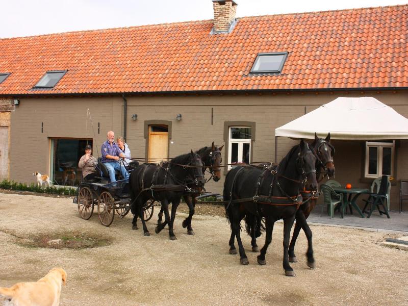 B&B Crijbohoeve image